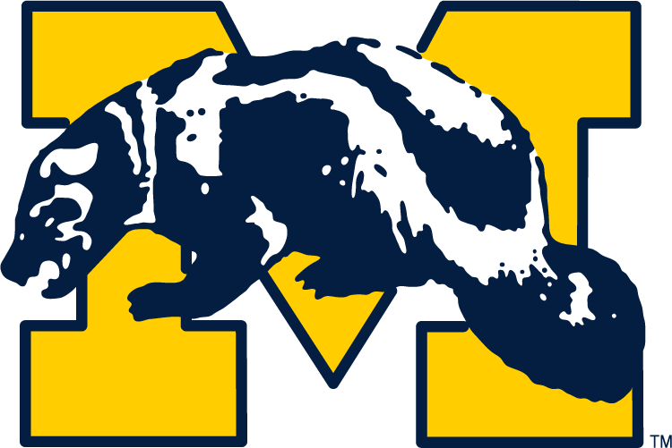 Michigan Wolverines 1964-1978 Primary Logo iron on transfers for T-shirts